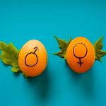 PMII Melek Gender Untuk Mencapai SDGs