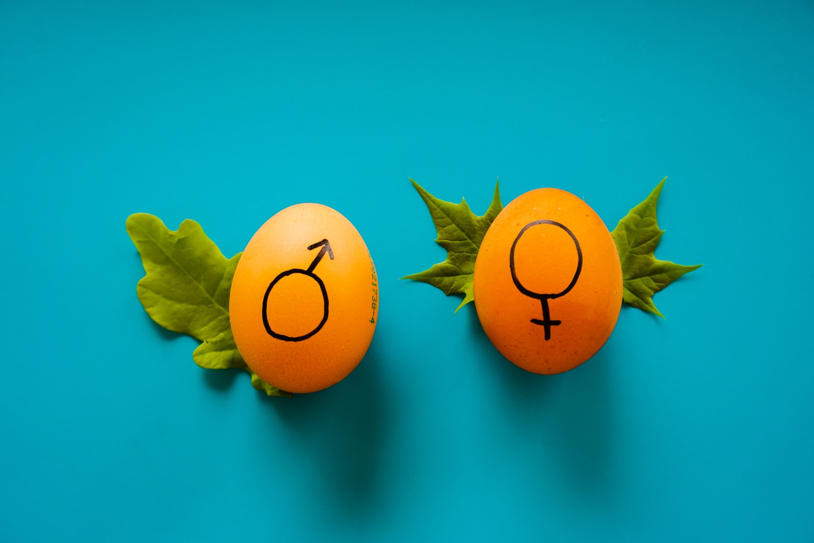 PMII Melek Gender Untuk Mencapai SDGs