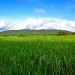 PCNU-PATI Photo by sarangib