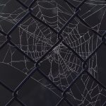 PCNU-PATI Photo by anaterate