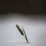 PCNU-PATI Photo by Single.Earth