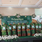 PCNU-PATI