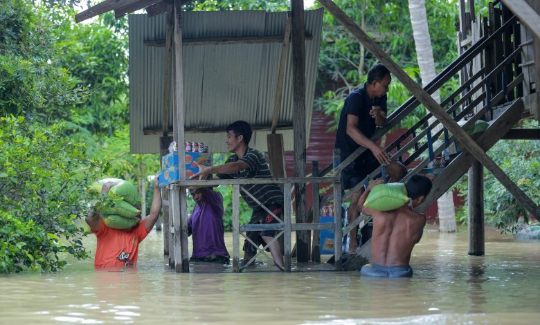 Hanya Se Tinggi Lutut tapi Membunuh Harapan. Photo by Ny Menghor on Unsplaash.