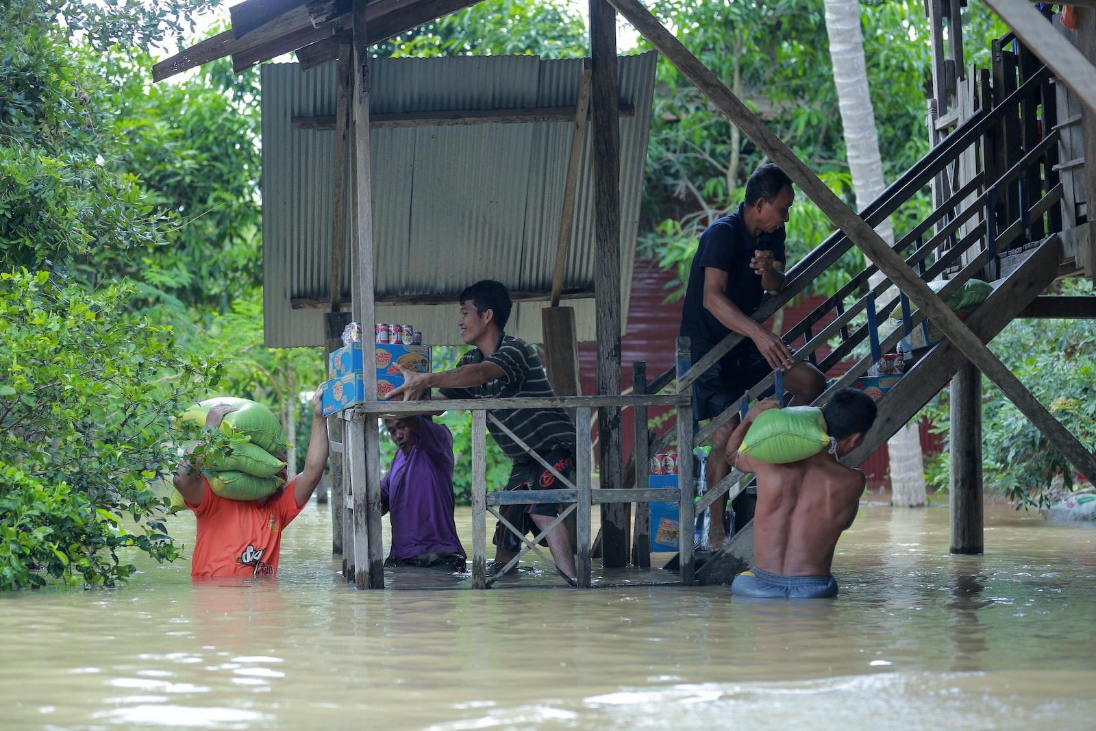 Hanya Se Tinggi Lutut tapi Membunuh Harapan. Photo by Ny Menghor on Unsplaash.