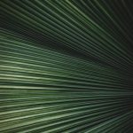 PCNU-PATI Photo by Kristen Zelichowski