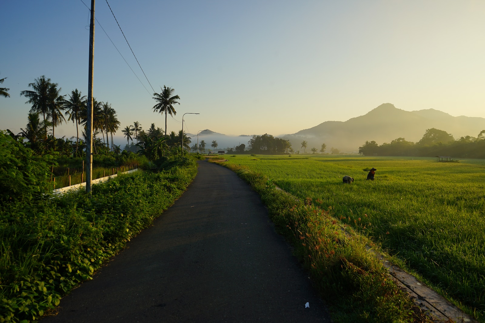 Photo by Taliwang Mengaji