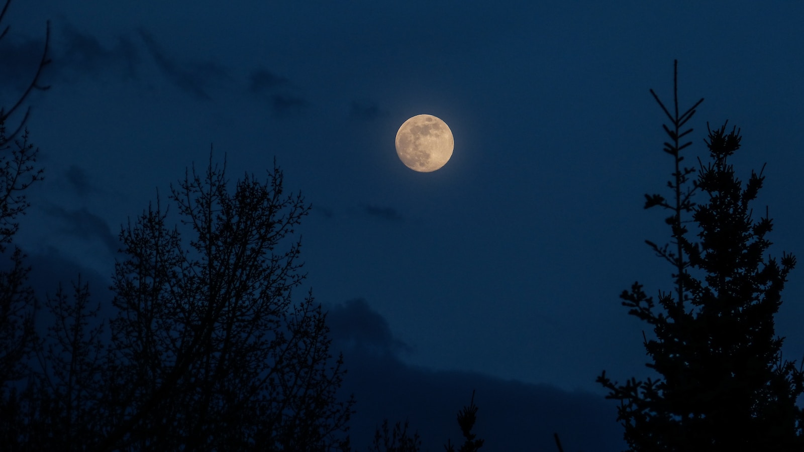 Memburu Lailatul Qodar. Photo by Kym MacKinnon on Unsplash.