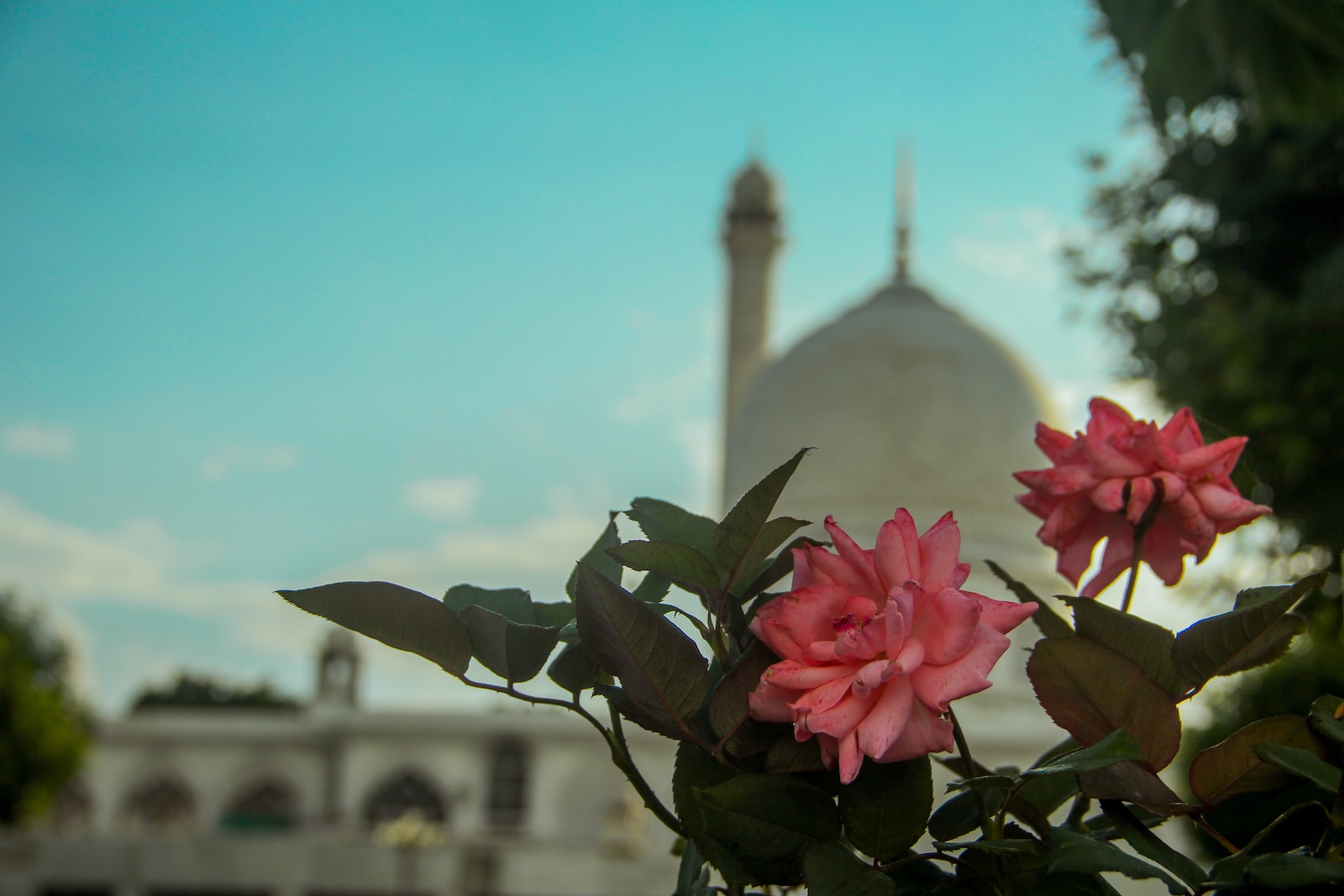 Islam Agama Nurani. Photo by Mubashir Ahmet on Unsplash.