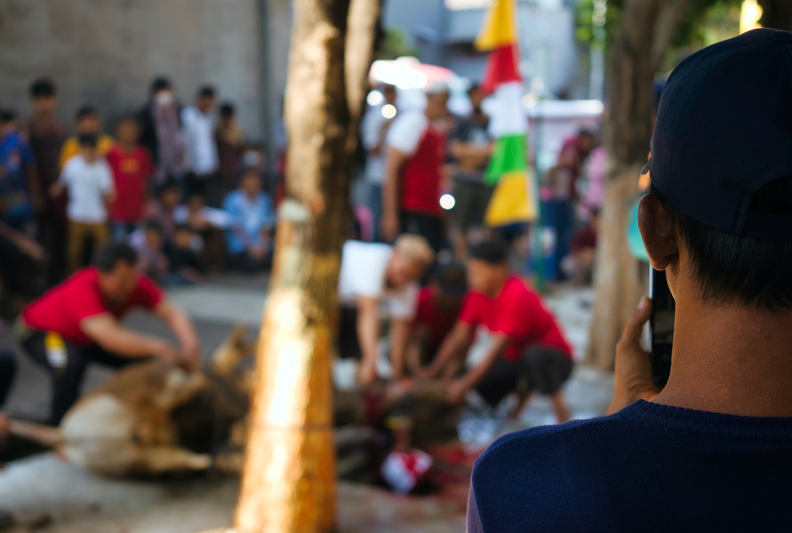 Merajut Toleransi dan Persaudaran di Bulan Idul Adha. Photo by Fauzan On Unsplash.