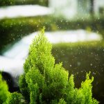 Hujan Siang, dengan Mendung Pekat. Photo by Lyndon Li on Unsplash.