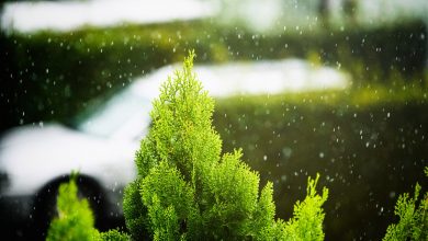 Hujan Siang, dengan Mendung Pekat. Photo by Lyndon Li on Unsplash.