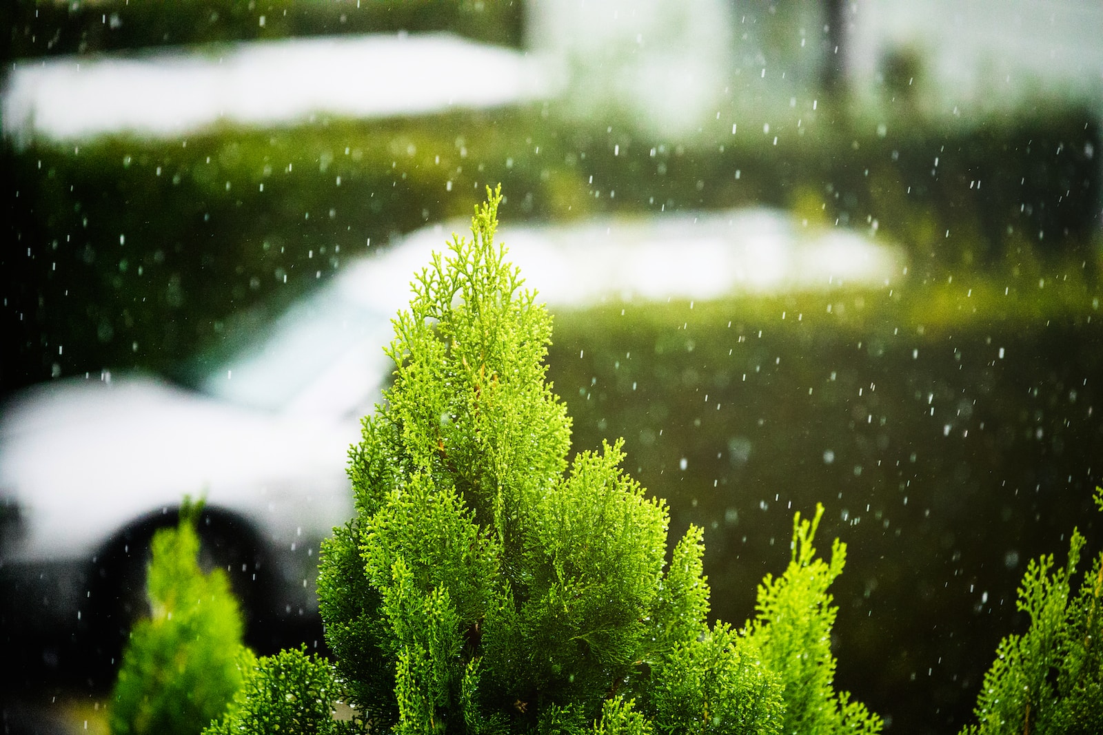 Hujan Siang, dengan Mendung Pekat. Photo by Lyndon Li on Unsplash.