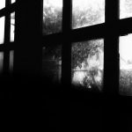 Photo by Harmoni Widiya