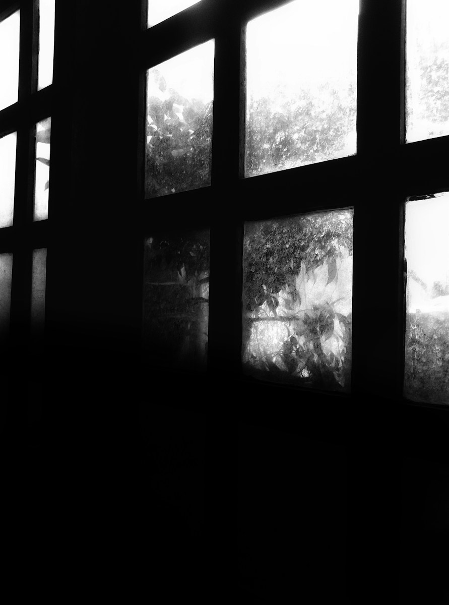 Photo by Harmoni Widiya