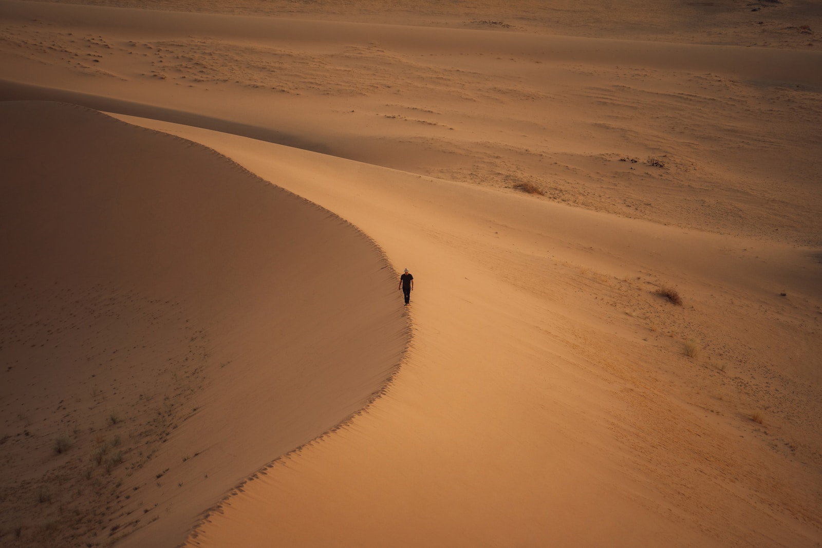 Photo by NEOM
