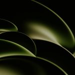 Photo by Pawel Czerwinski