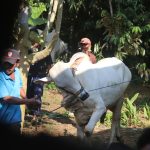 Photo by Mufid Majnun