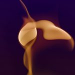 A blurry image of a flower on a purple background