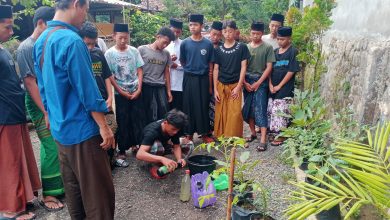 LPPNU Pati Gelar Pembinaan Pertanian di Pesantren Nurul Qur'an Gembong