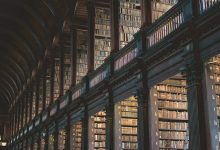 brown wooden book shelves in library