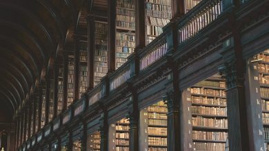 brown wooden book shelves in library