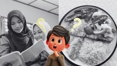 Gengsi Makan Siang Gratis, Pendidikan Meringis