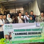 NU Care-LAZISNU Pati Salurkan Program Kambing Bergulir Tahap 2 kepada Warga Slungkep Kayen