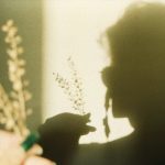 Shadow of a person holding some dried flowers.