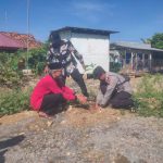 Siswa siswi SMA dan MTs Joyo Kusumo Gelar Penanaman 1.000 Pohon di Desa Pasuruhan dan Jetis Pesagi